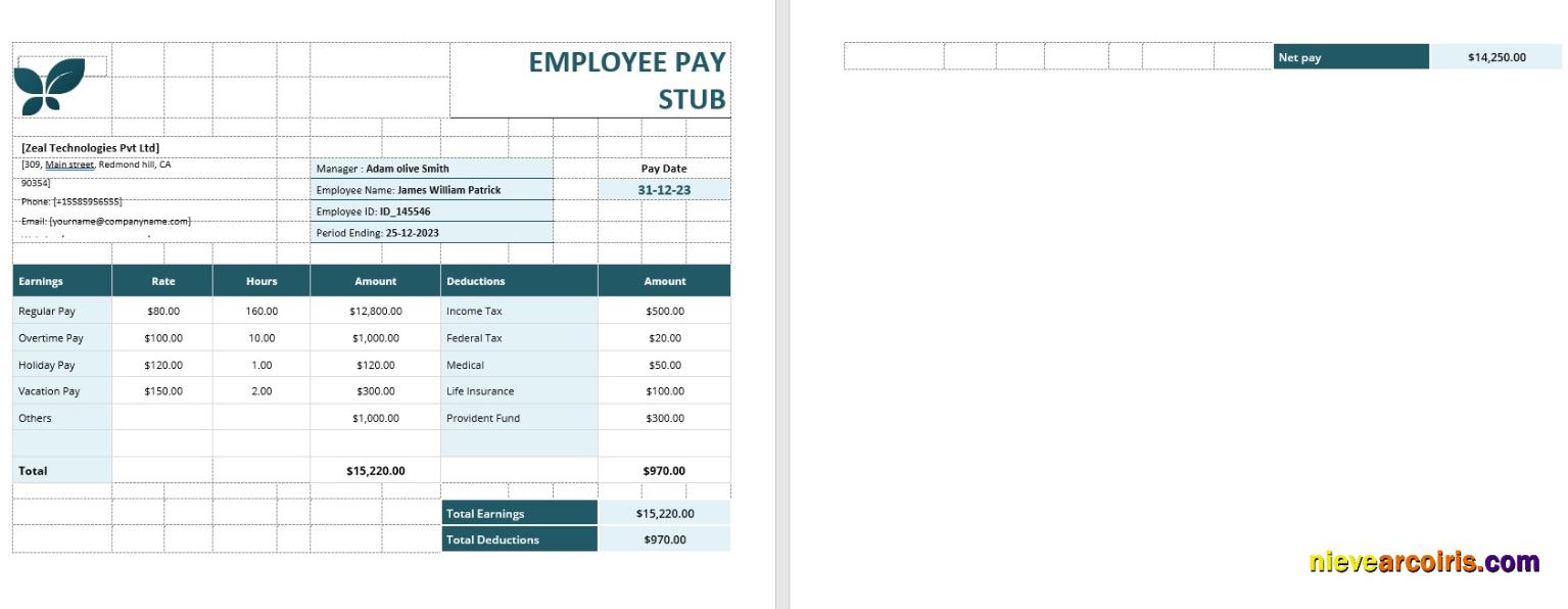 Employee Pay Stub